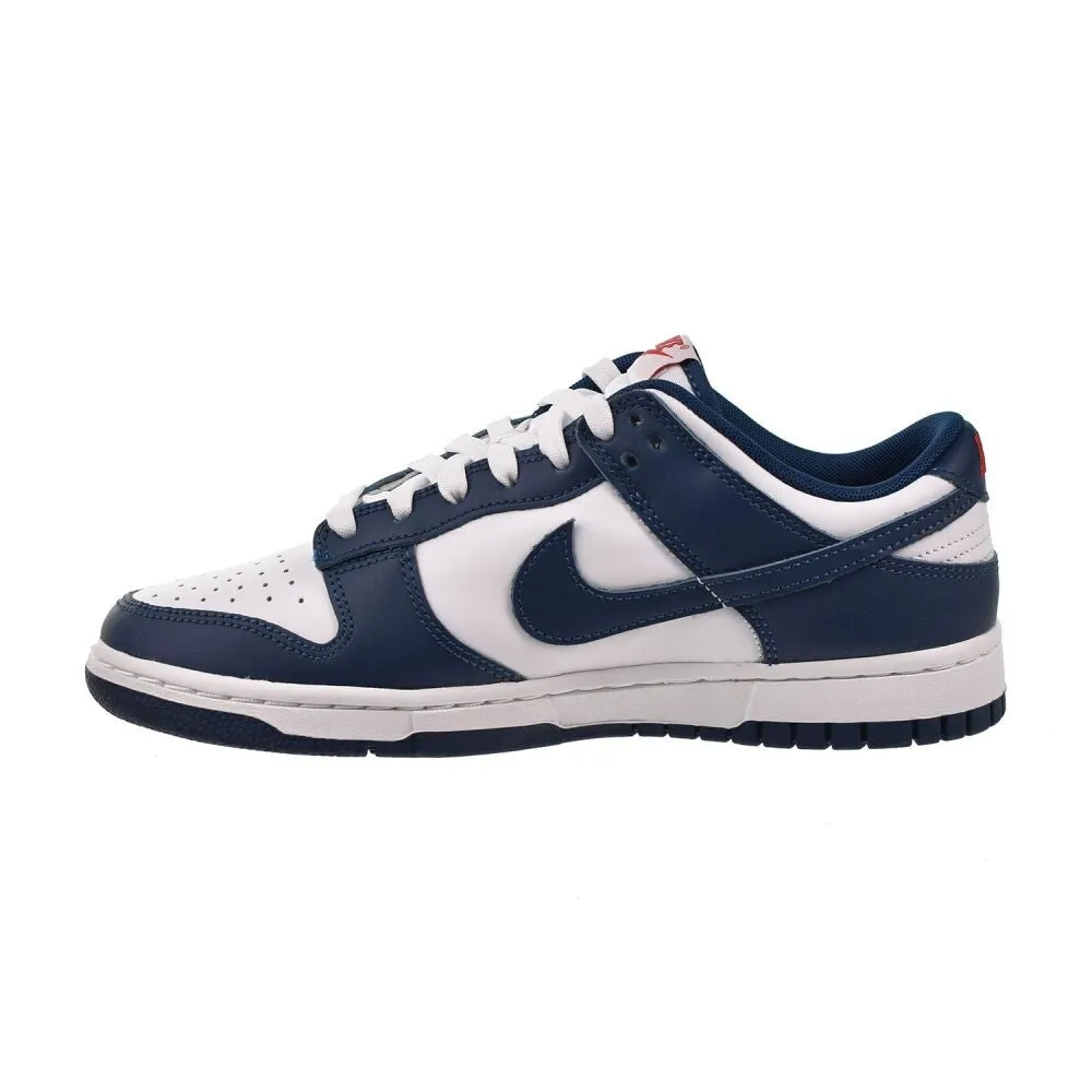 Nike Dunk Low Retro Men's Shoes Valerian Blue dd1391-400